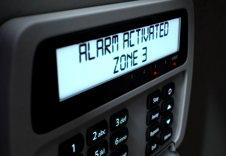 Intruder & Burglar Alarms